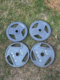 4 45 lb plates