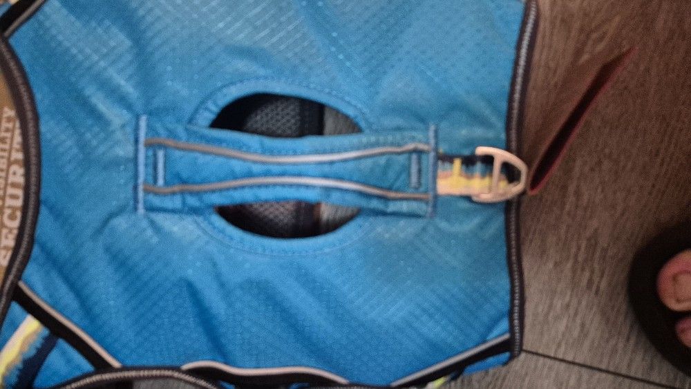 Dog Collar