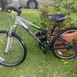 Giant Bike