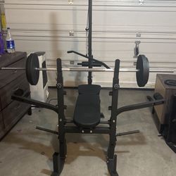 Bench With 100 Total Weight Plates And Barbell