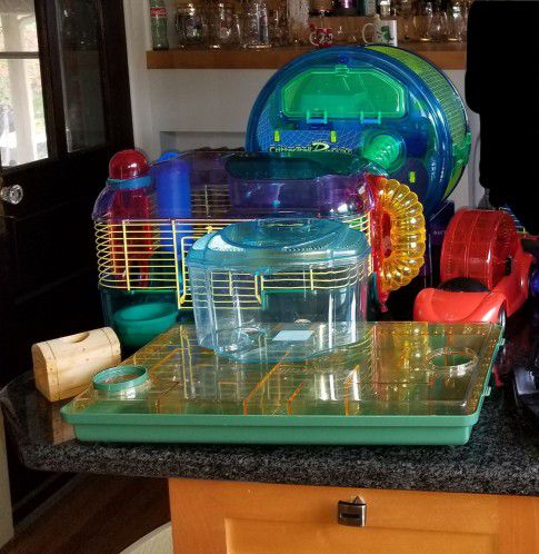 Hamster Cages and Toys