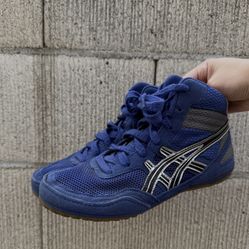 Wrestling Shoes 