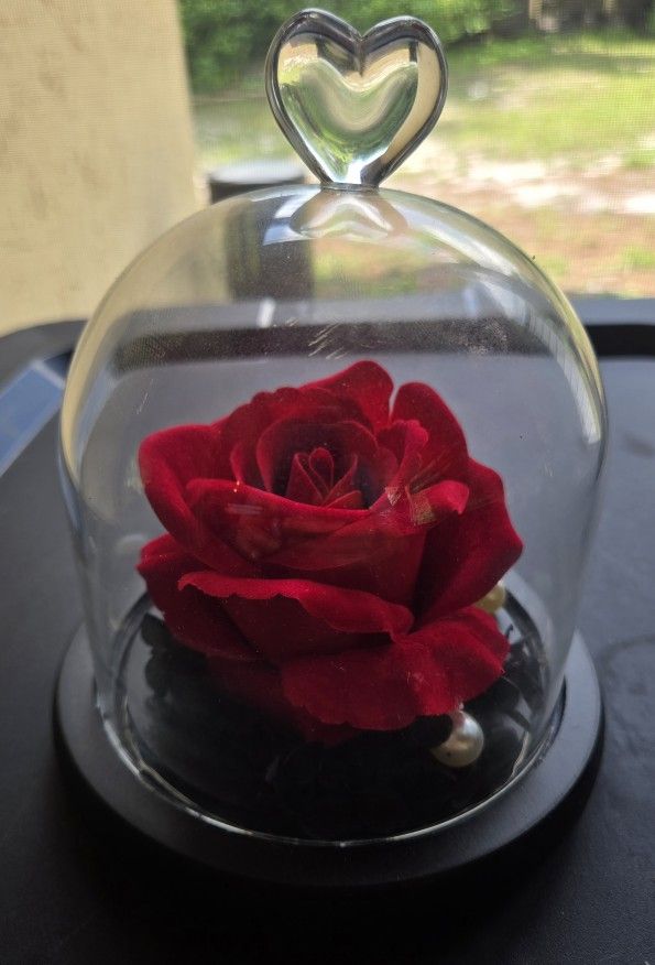 Light Up Rose