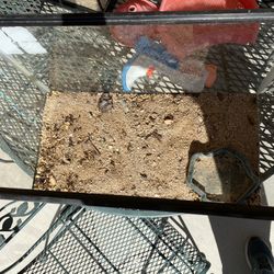 Aquarium With Water Bowl