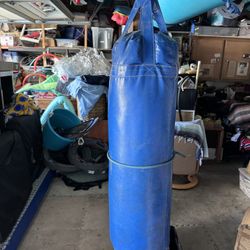 Punching Bag 40