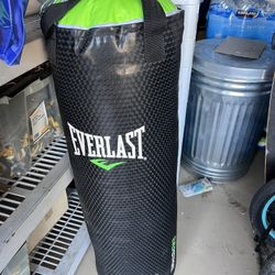 Everlast Sand Punching Bag 