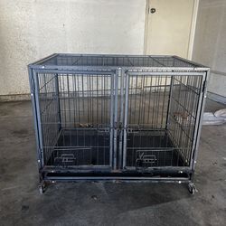 Kennel