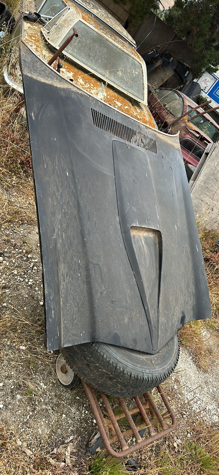70-81 Camaro Hood