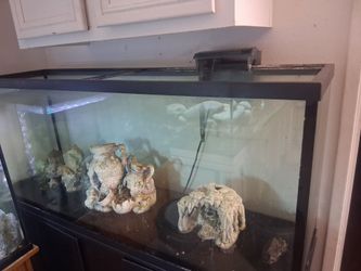 fish tank