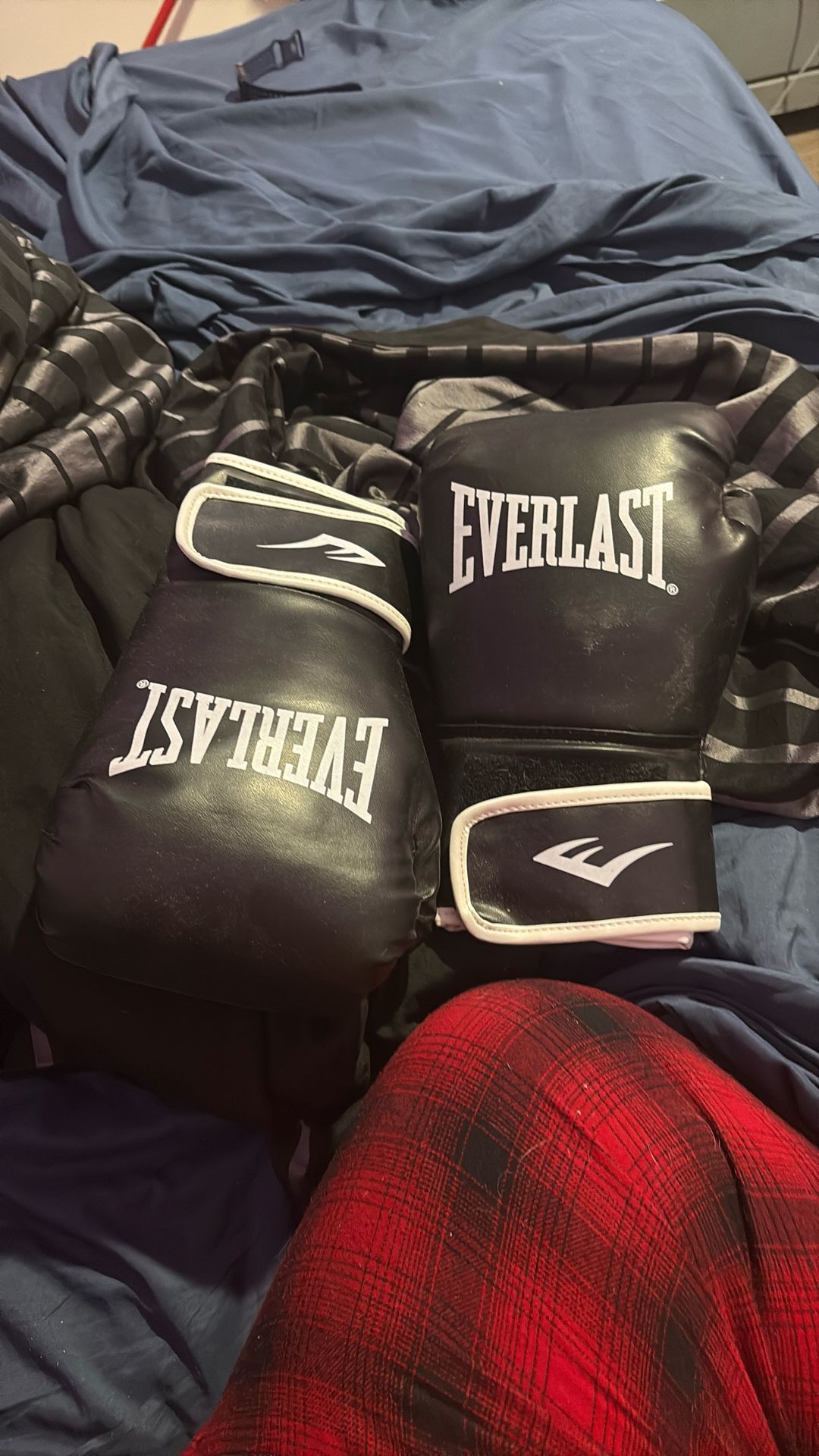 Everlast Boxing Gloves 