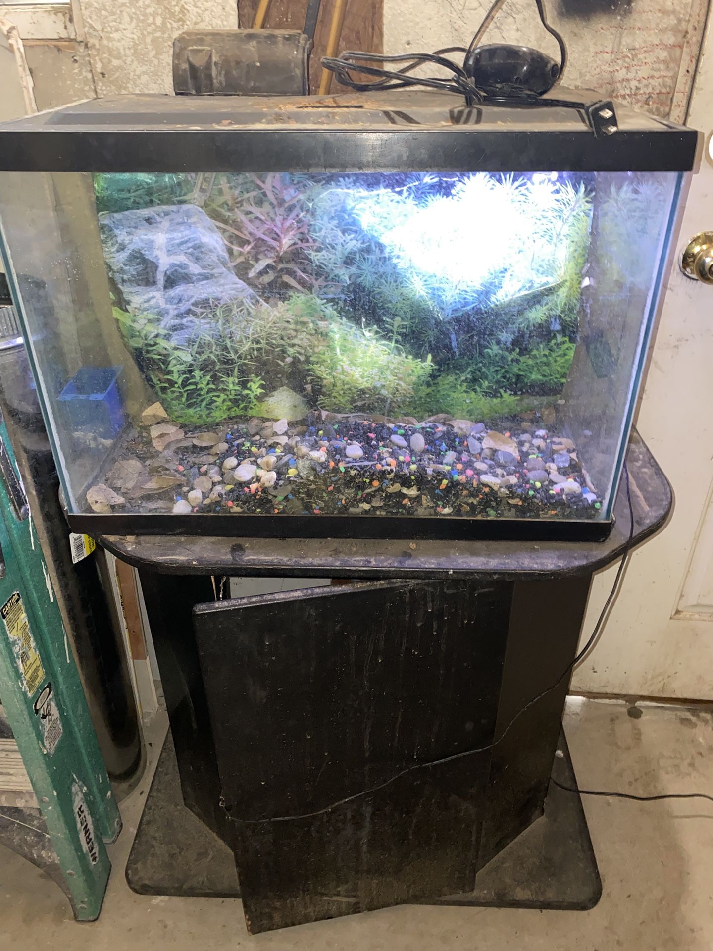 Fish Tank