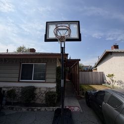 LIFETIME BASKETBALL HOOP