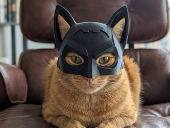 Cat batman Helmet