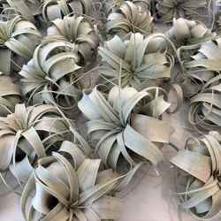 Garage Sale 1857 And 1888 Avenida aragon, Oceanside Ca 92056