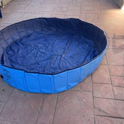 Large, Foldable, Dog Pool