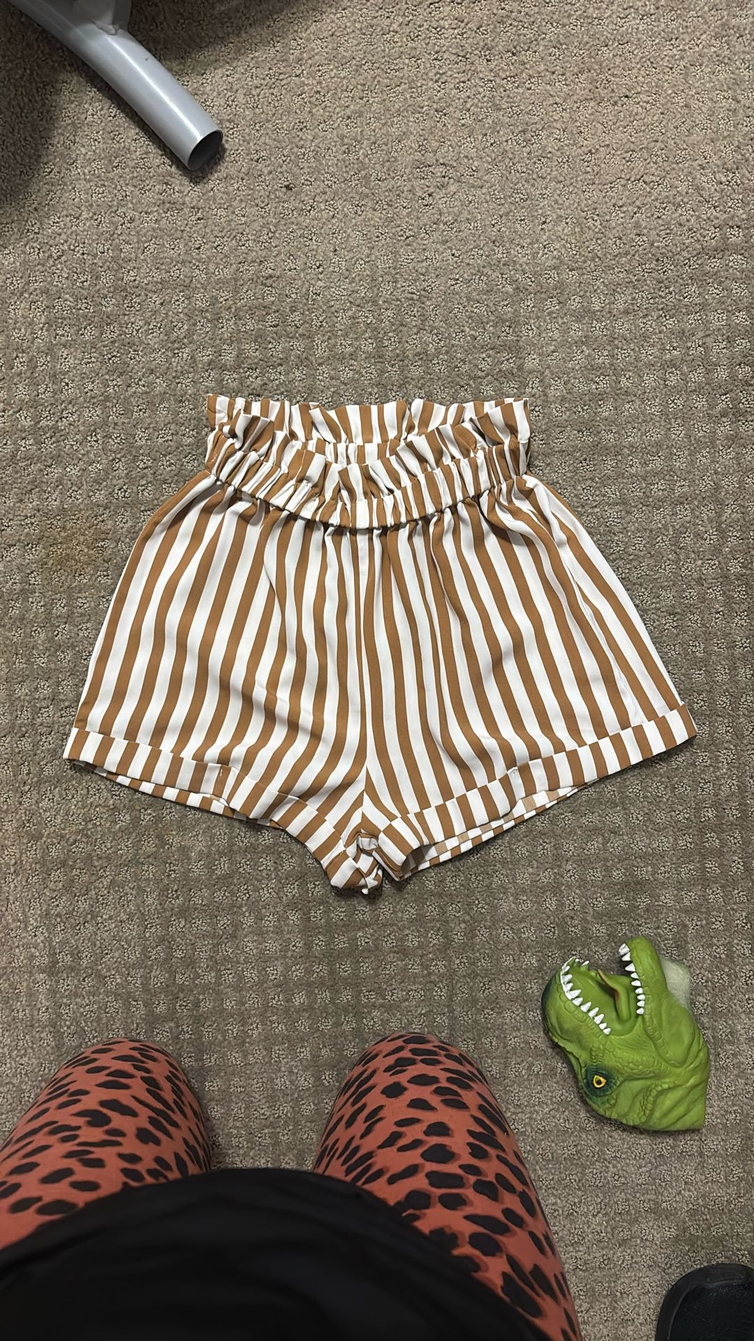 Small Dress Shorts
