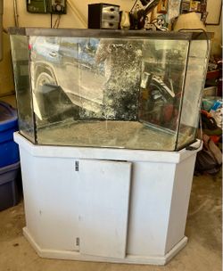 60 gallon corner saltwater fish tank