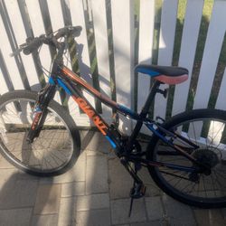 Giant Bike