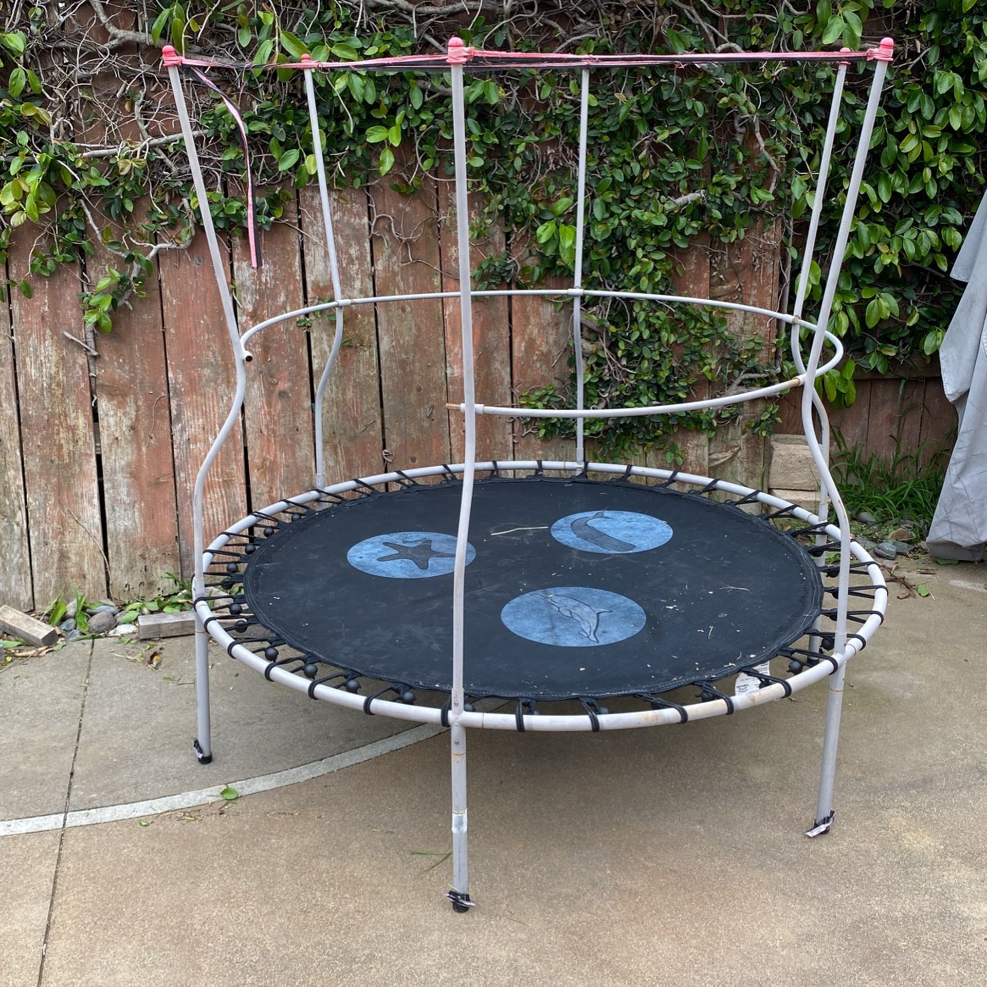 Free Small Trampoline 