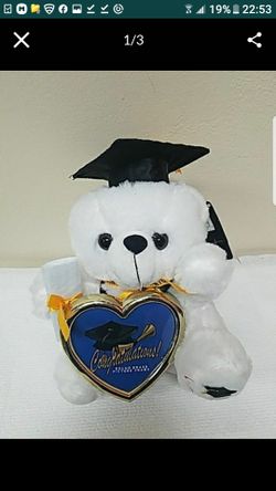 Brand new Teddy bear for graduation