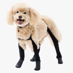 Walkee Paws Rain Boots 