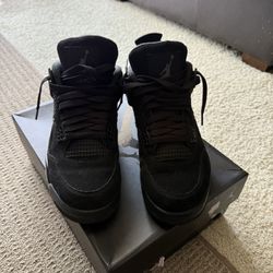 Black Cats 