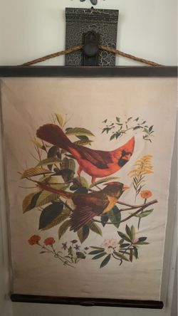 Bird poster