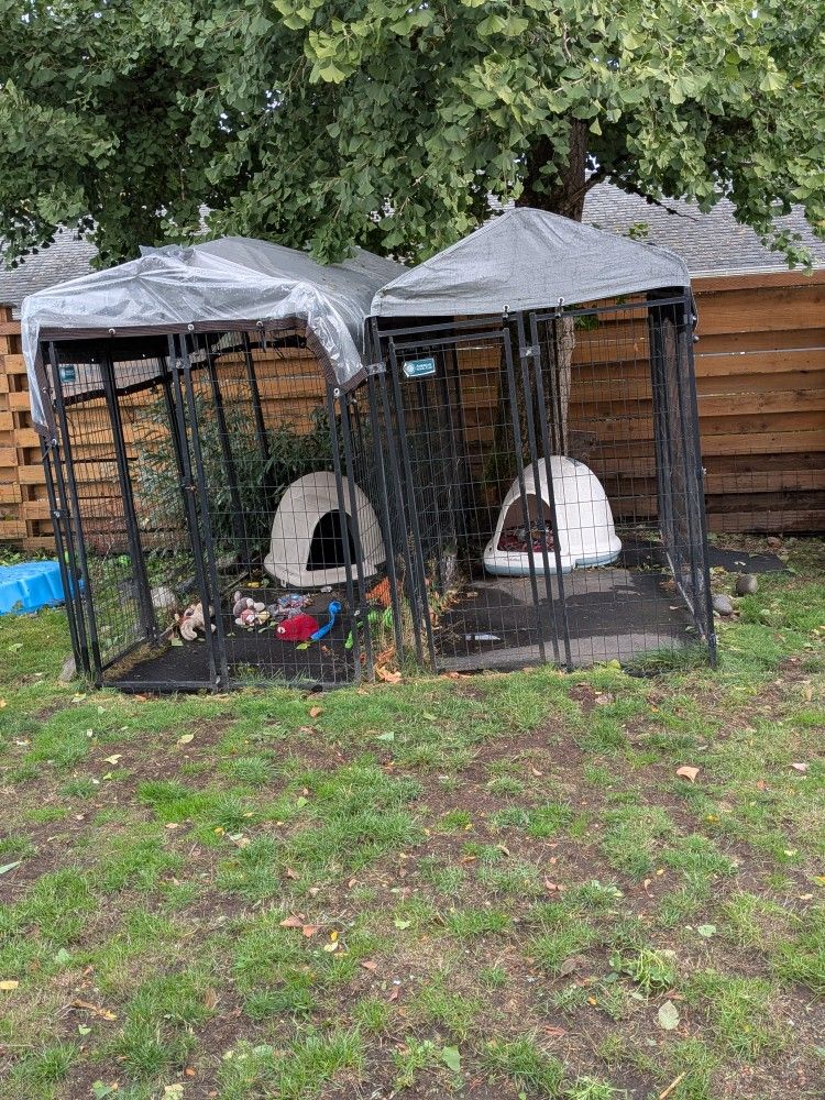 2 Dog Kennels