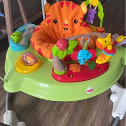 Fisher Price Activity Center