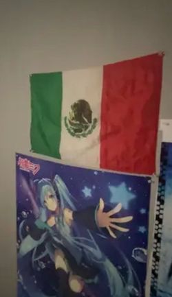 Mexico Flag