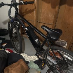 Electric Bike