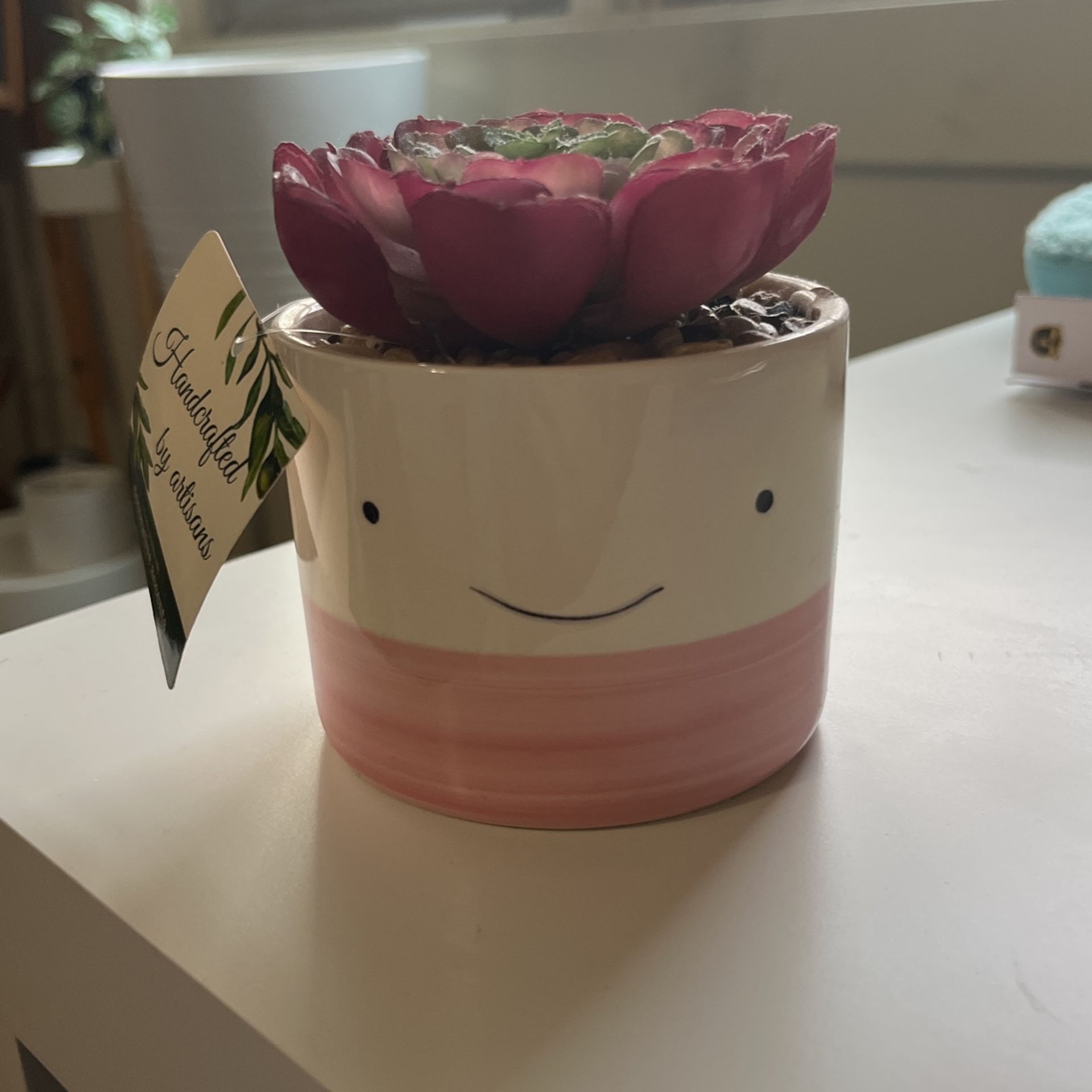 Pink Artificial Succulent With Smiley Face