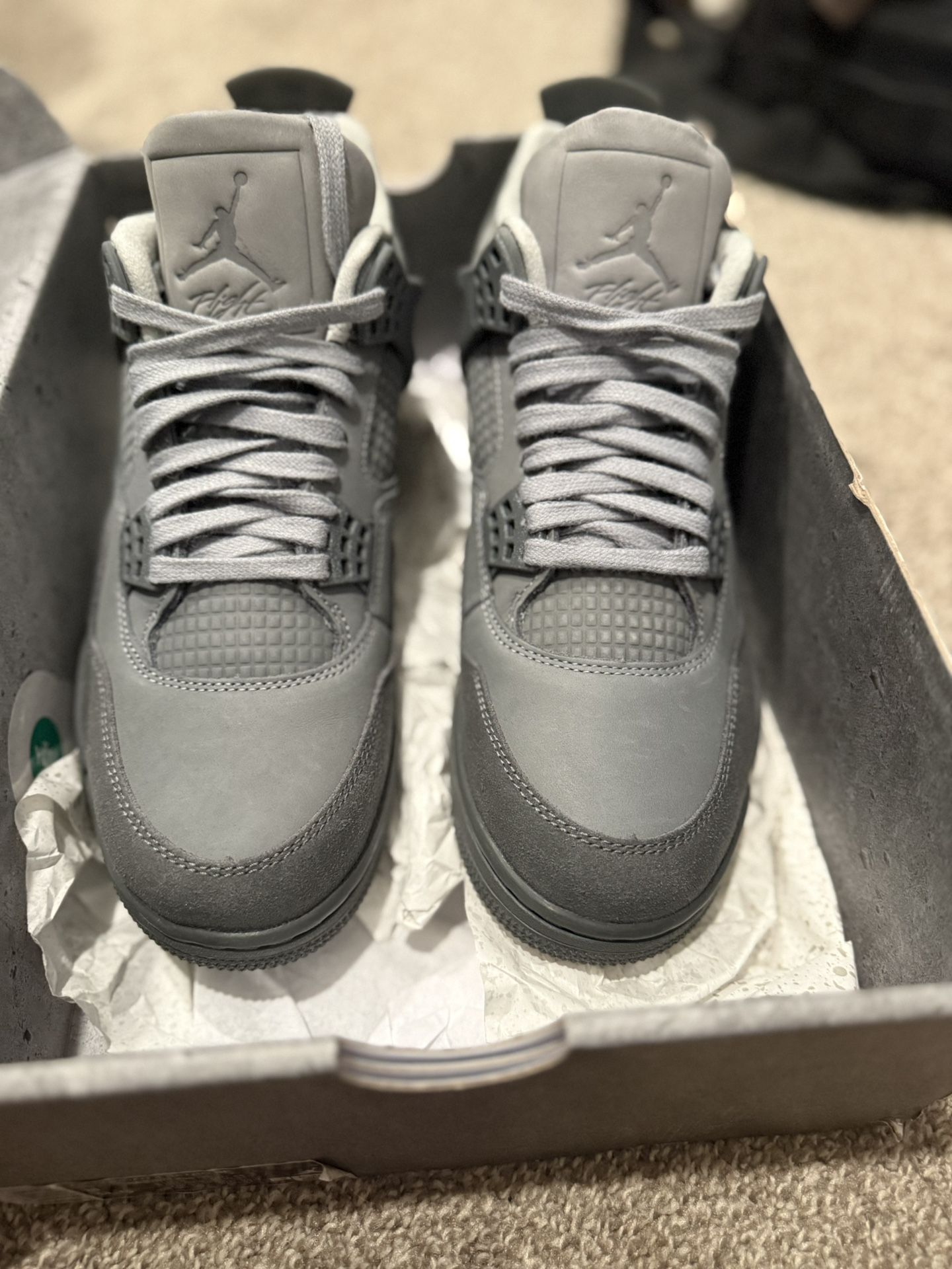 Jordan 4s