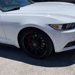 Mustang Staggers 20” Wheel & Tires