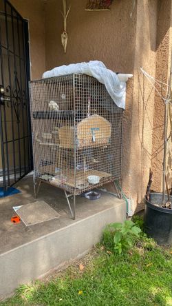 Bird Cage / Jaula Para Pajaros $300