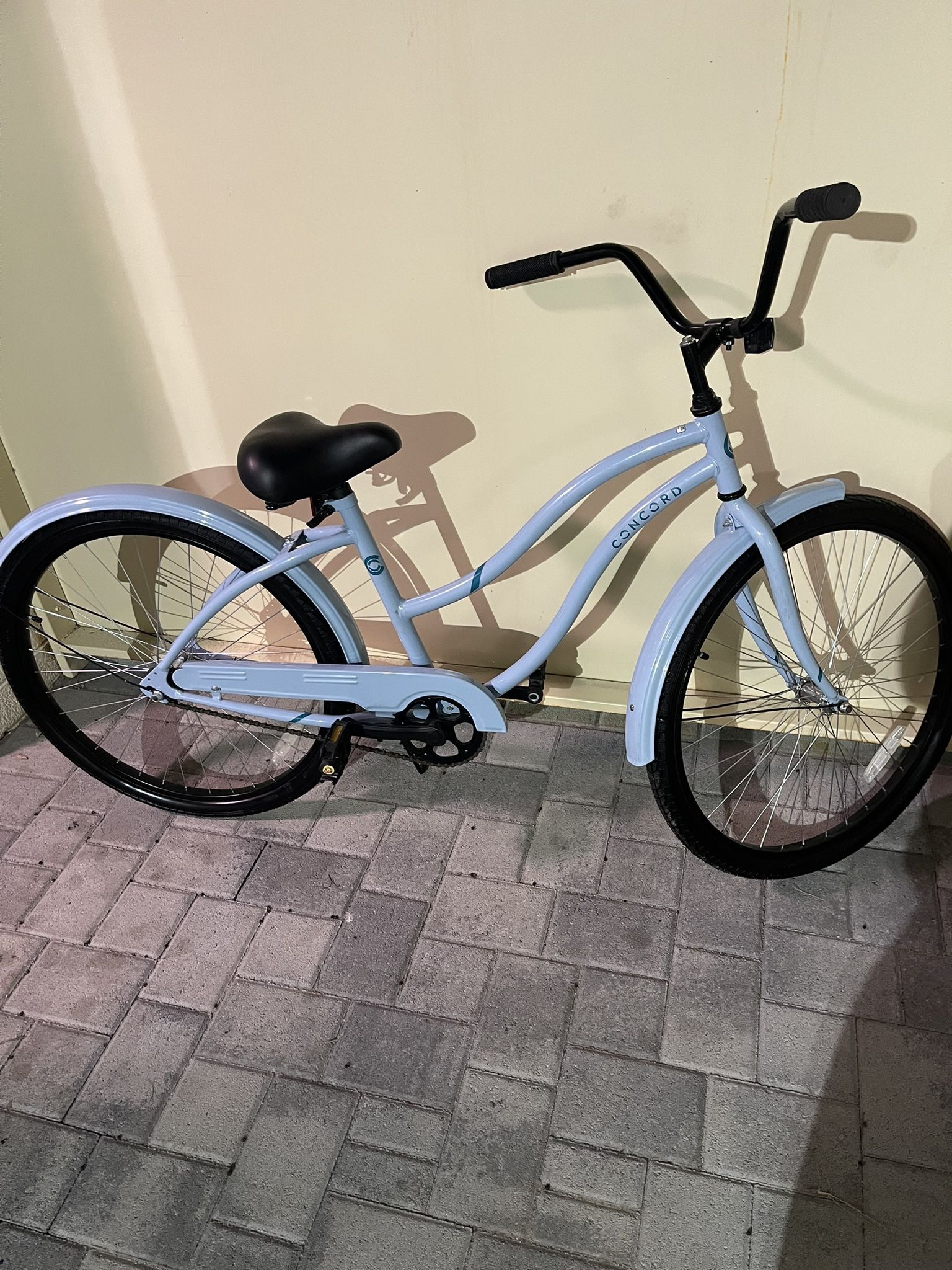Bike Cruiser