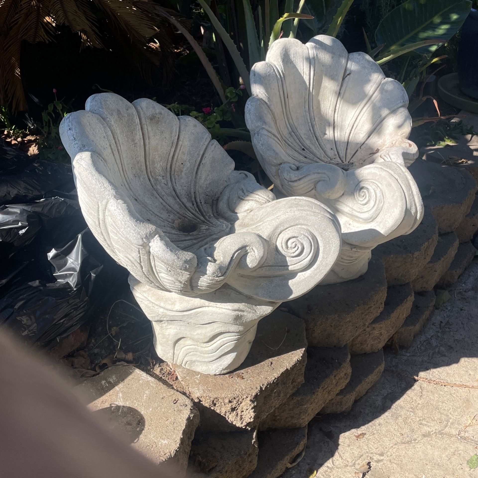 Plants Holder