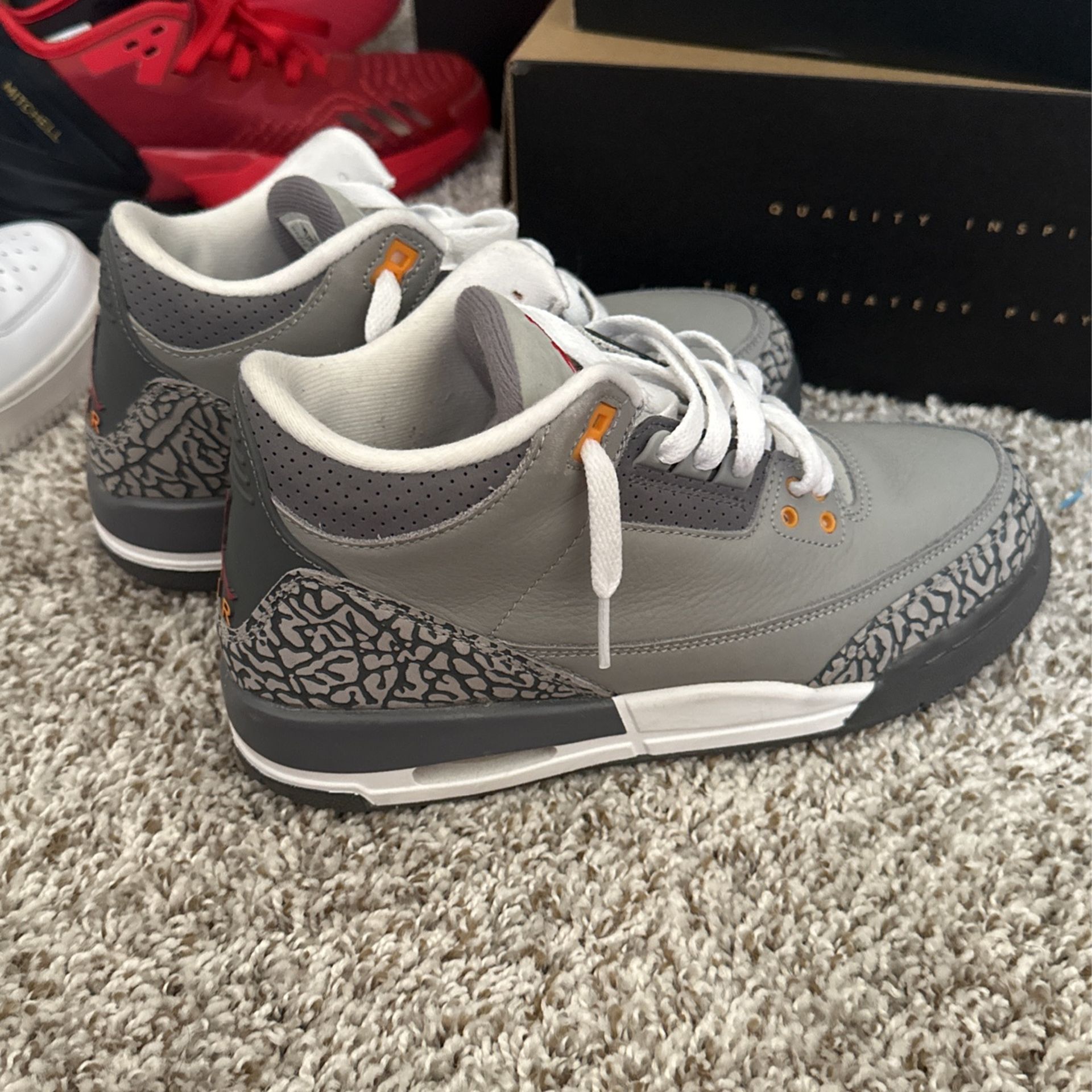 Air Jordan 3 Retro “Cool Grey” GS