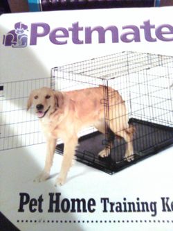 New DOG Kennel for Large Dogs Training Retreat Wire