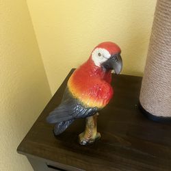 Ceramic Parrot 
