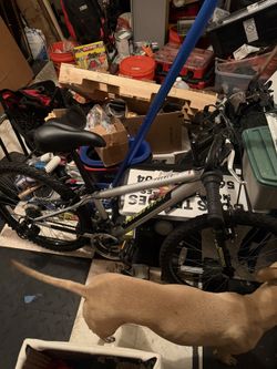 Nishiki Bike For Sale Almost New!