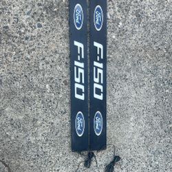 Ford F-150 Illuminated Door Sill Plates Front Driver And Passenger. 