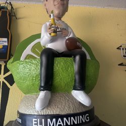 Eli Man Cave 