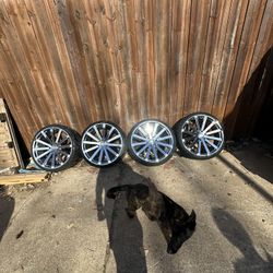 24rims