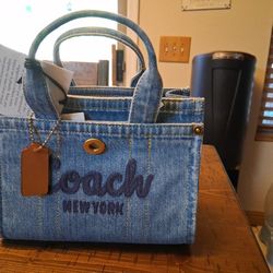 Mini Coach Tote