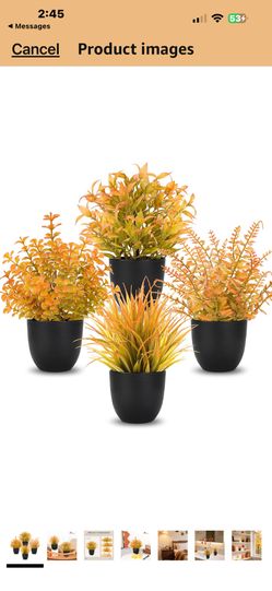 Der Rose Fall Fake Plants 4 Packs Artificial Plants Small Faux Plants Black Bathroom Accessories Fall Decorations for Home Bathroom Home Office Desk F