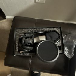 Mic 