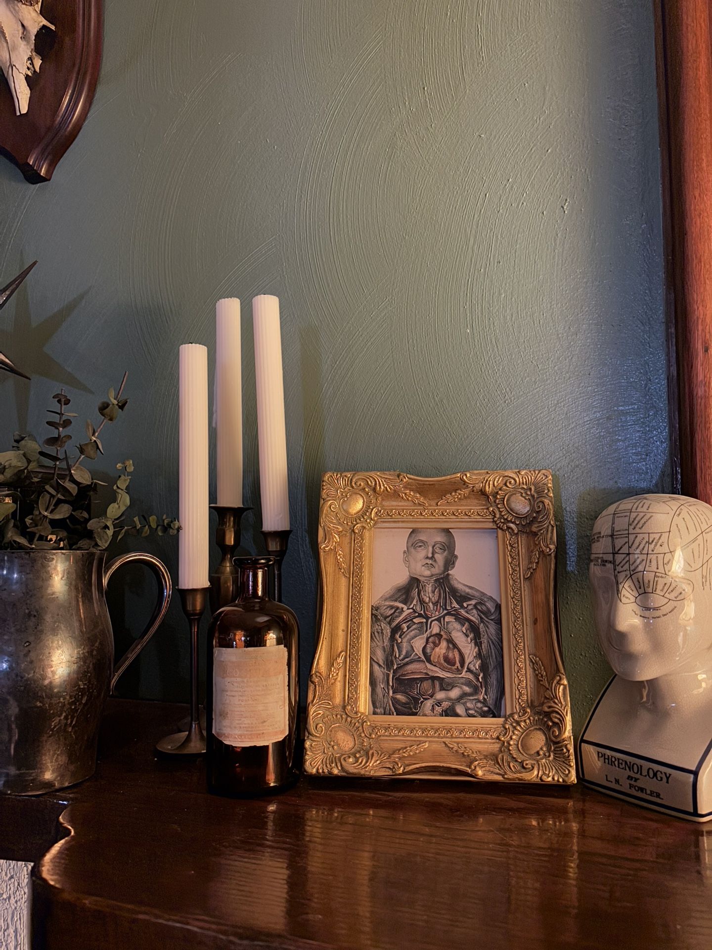 Anatomical Print In Golden Frame