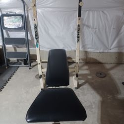Sturdy Workout Bench
