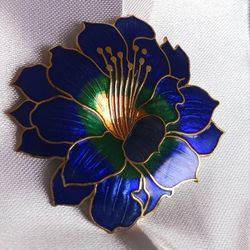 Cloisonne Broach and Clip-On Earrings Vtg.